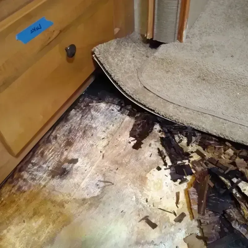 Wood Floor Water Damage in Annapolis, MD